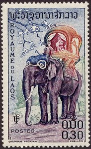 Elephant avec palanquin