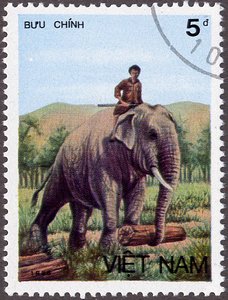 Transport par elephants